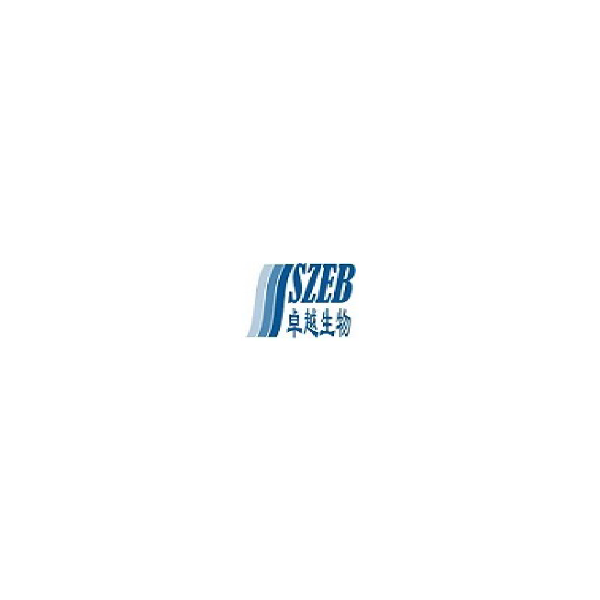 現(xiàn)貨供應全套頭孢孟多雜質(zhì)