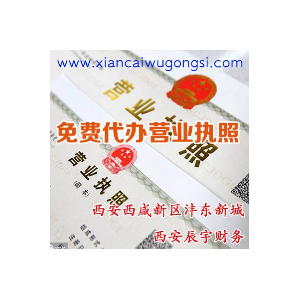 西安西咸新區(qū)灃東新城代辦營(yíng)業(yè)執(zhí)照