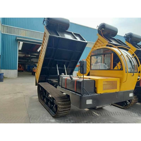爬山王履帶搬運(yùn)車(chē) 可定制的運(yùn)輸車(chē)山