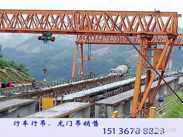 門式起重機 (22)