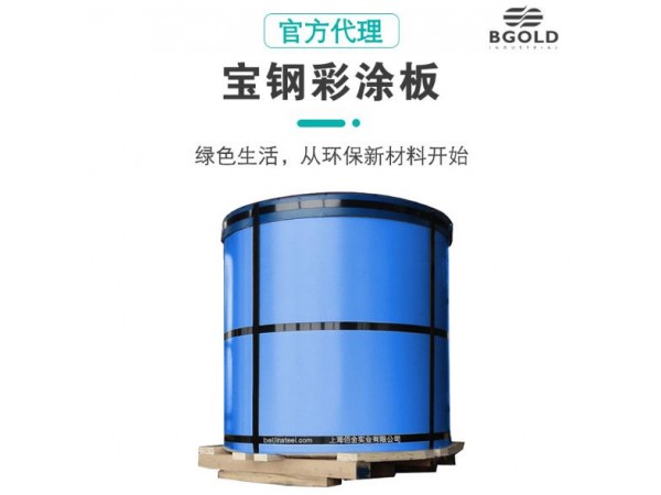 上海彩鋼卷鋼結(jié)構(gòu)廠房建設 可分條開